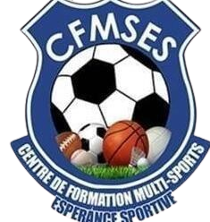Logo CFMSES