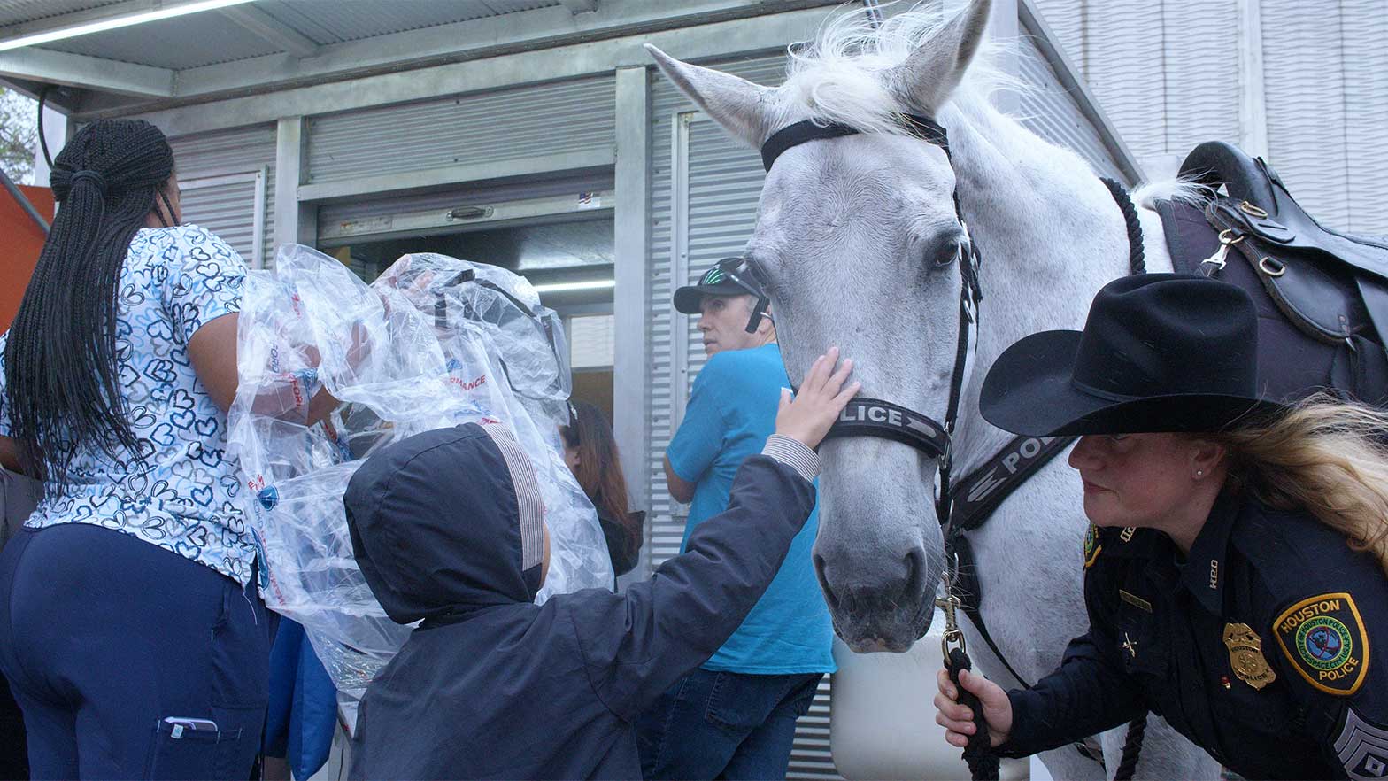 a child pets a horse named techron