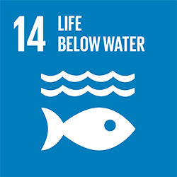 Goal 14: life below water
