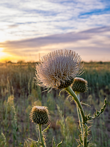designing for a lower carbon future