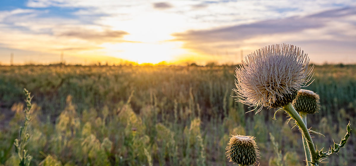 designing for a lower carbon future