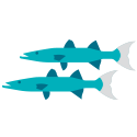 Barracuda icon