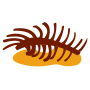 Carrion graphic