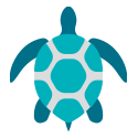 green sea turtles