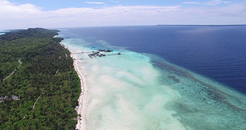 Protecting Maratua Island marine biodiversity