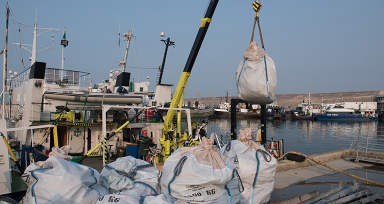 Caspian Sea marine debris