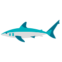 Sharks icon