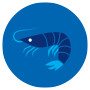 Shrimp icon